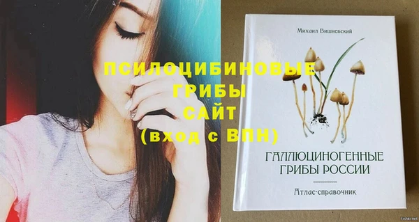 МДПВ Каменногорск