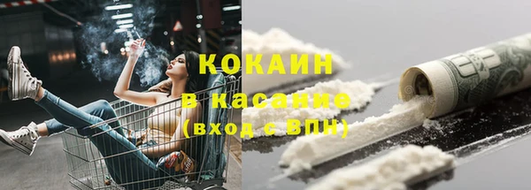 МДПВ Каменногорск