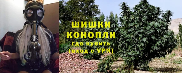МДПВ Каменногорск