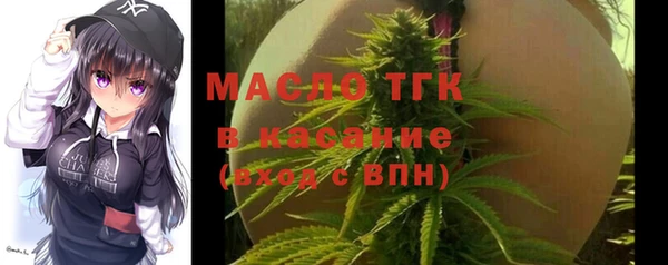 МДПВ Каменногорск