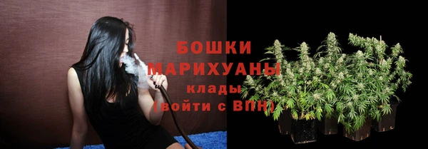 МДПВ Каменногорск