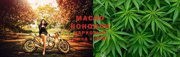 МДПВ Каменногорск
