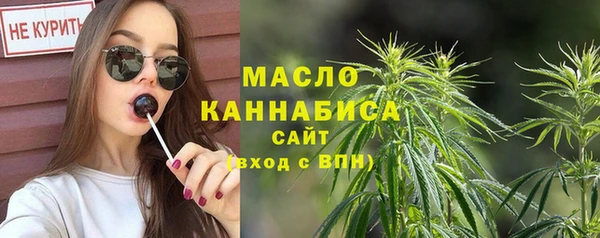 МДПВ Каменногорск