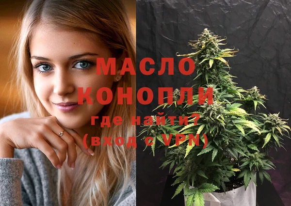 МДПВ Каменногорск